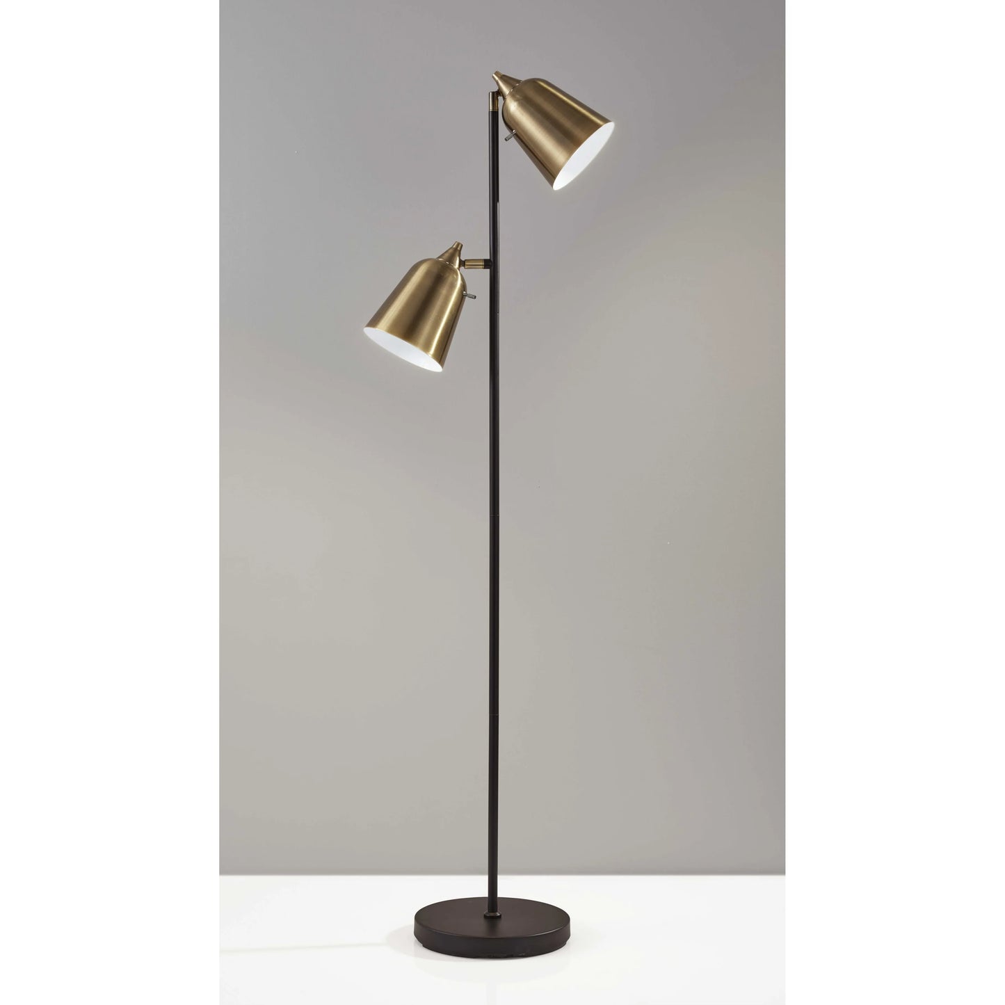 Contemporary LED Floor Lamp